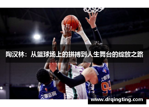 陶汉林：从篮球场上的拼搏到人生舞台的绽放之路