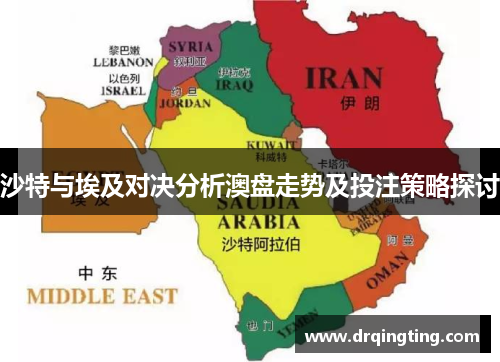 沙特与埃及对决分析澳盘走势及投注策略探讨